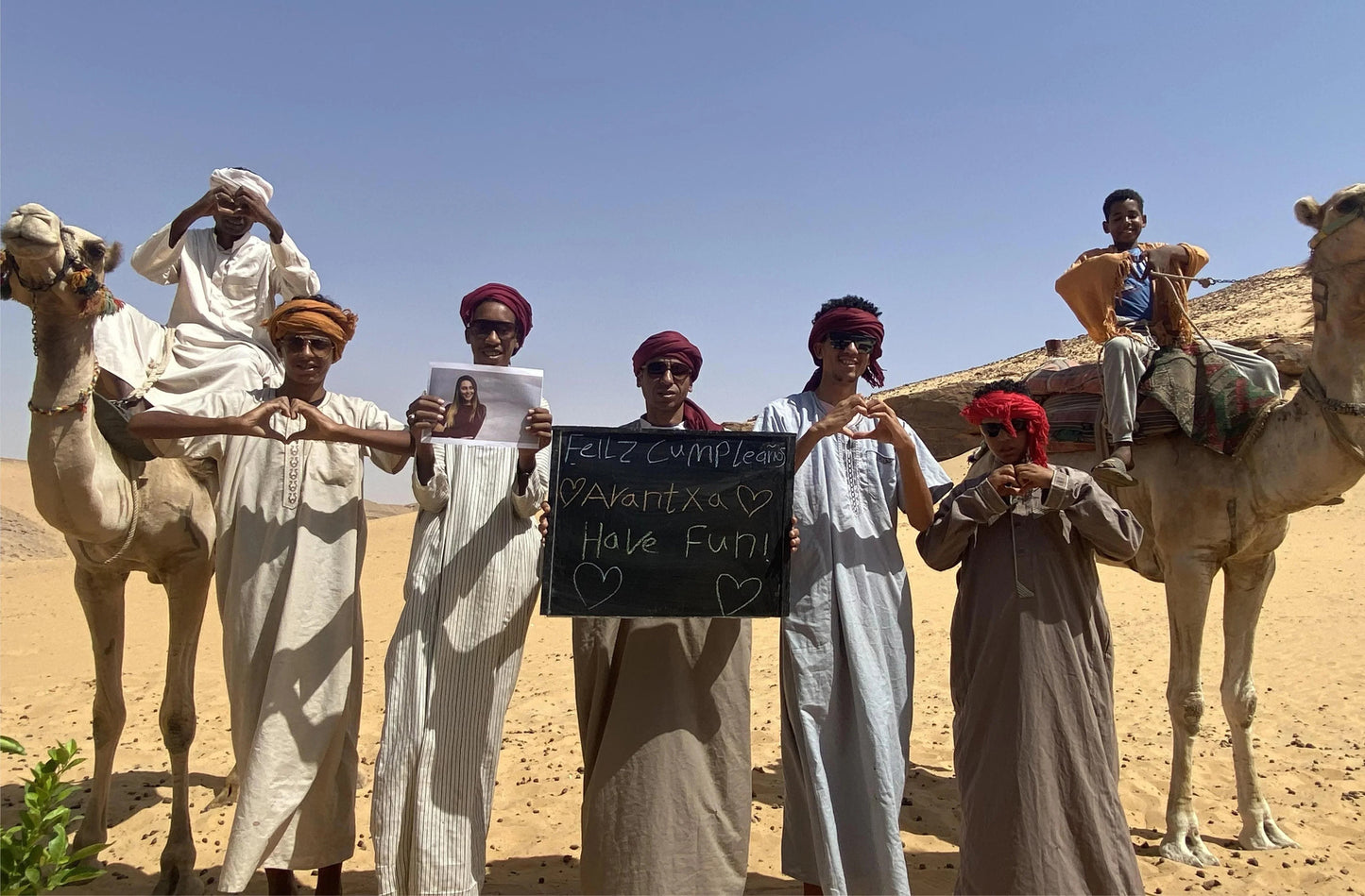 Greeting Video from Africa - Desert Camel